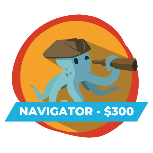 NAVIGATOR-300