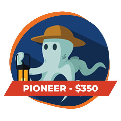 Pioneer-Price