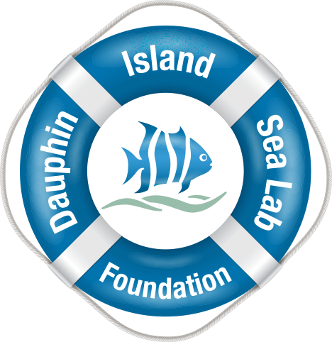 Dauphin Island Sea Foundation